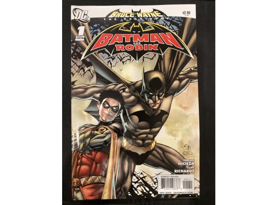 DC Comics Bruce Wayne The Road Home - Batman And Robin One Shot