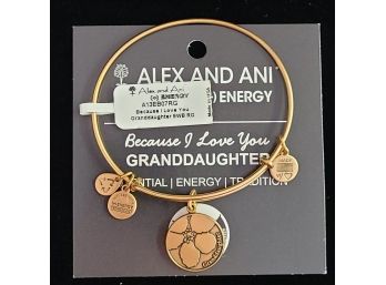 NWT Alex And Ani Russian Gold Charm Bangle 'because I Love You Granddaughter'