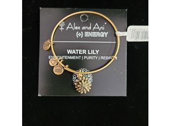 NWT Alex And Ani Russian Gold Charm Bangle 'water Lily'