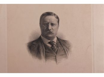 Teddy Roosevelt 8x11