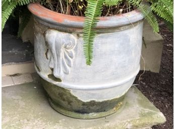 Fantastic Vintage Terracotta Planter WITH Plant Included - Great Patina Beautiful Weathered & Mossy Finish (B)