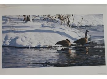Terry Isaac - Winter's Thaw Canada Geese S/N Ltd Ed