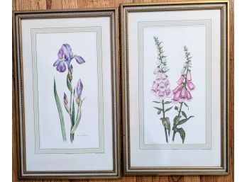 Pair Of Original Botanical Prints Illustrated By Marian Holgorigan?