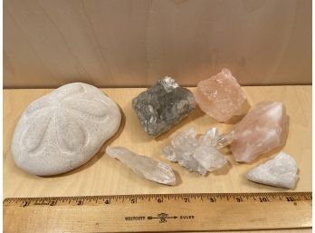Sea Biscuit Sand Dollar Aragonite Quartz Milk Quartz Himalayan Salt Crystals Semi-Precious Stones