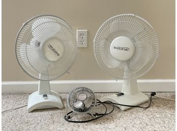 Fans Large And Small