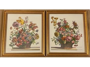 Pair Of French Botanical Hand Colored Engravings, Beautifully Framed