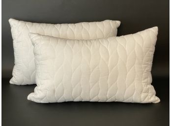 Two Max Studio Home Toss Pillows