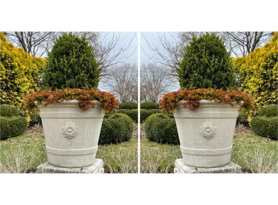 A Pair Of Large Cast Stone Urns By Campania With Live Boxwoods And More Plants