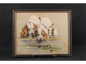 Very Cute Original Morgan Dennis Colored Etching Of Two Cocker Spaniels Steering At A Frog On Lily Pad