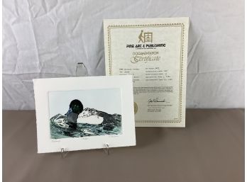 Scaup - Signed Numbered Hand Colored Etching With Certificate Of Authenticity