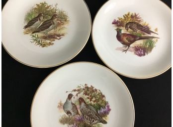 Royal Falcon Ware Plates Set Of 6 Weatherby England