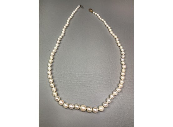 Fabulous Set Of Vintage Genuine Cultured Pearls 19' - Very Nice Graduated Size With 14k - Very Pretty Set !