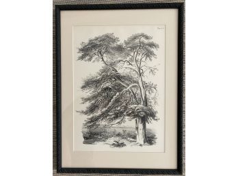 'Plate 14' Lithograph
