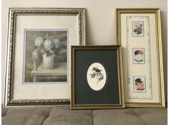 Trio Of Floral Framed Art