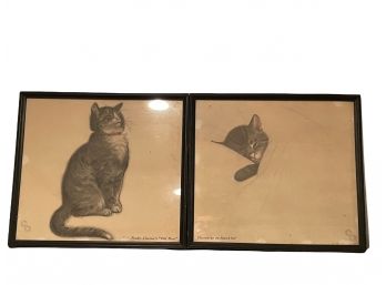 Pair Of Vintage Kitten Prints In Black Frames