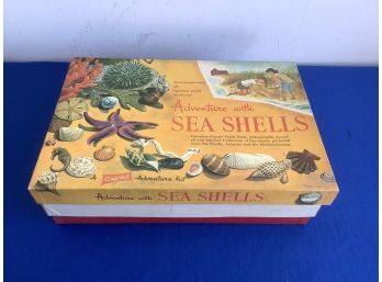 Adventure With Sea Shells Kit