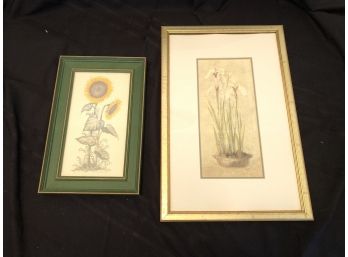 Framed Sunflower Drawing And Botanical  Print