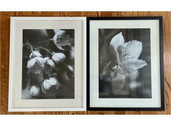Pair Of Ikea Black And White Floral Prints, Framed