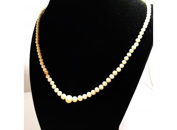Vintage Graduated White Coral Necklace
