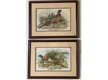 Pair Of Frank Kaplan Vintage Decorative  Wildlife   Prints