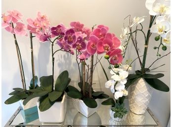 Faux Orchids Galore!  (LOC: W1)