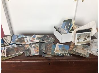 An Enormous Collection Of Unused Postcards - Animals, Art, Places From Across The Globe