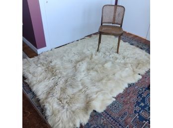 A White Goat Fur 65 X 80 Carried Down From The Switchbacks Of The Andes!
