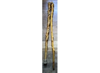Two Gnarled Wooden Walking Sticks