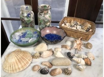 50 Year Collection Of Sea Glass & Sea Shells - Well Over 100 Pieces - Collected One By One Over 50 Years !