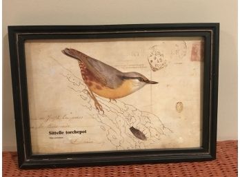 Rustic Framed Nuthatch Bird Print - Appearance Of Postal Print Background  13'L X 9'H