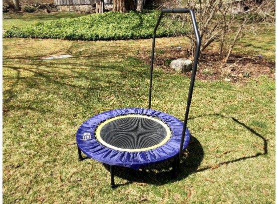 Urban Rebounding Exercise Trampoline With Carrying Case 40' Diameter