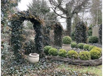 A Metal Garden Trellis With Mature Ivy - 1/5