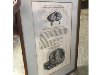 A Double Sided Framed Antique Latin Medical Textbook Page - Brain
