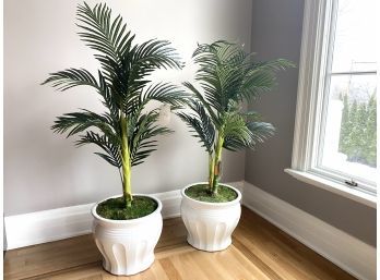 Pair Faux Ferns In Ceramic Planters