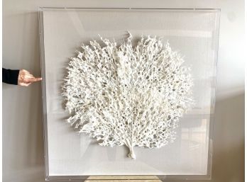 Coral  Rice Paper Sculpture In Acrylic Box Frame