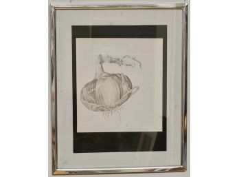 Ann Linden, Onion, Pencil On Paper, Signed