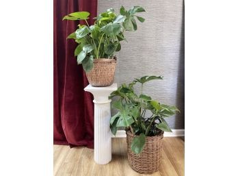 Fiberglass Column Plant Stand