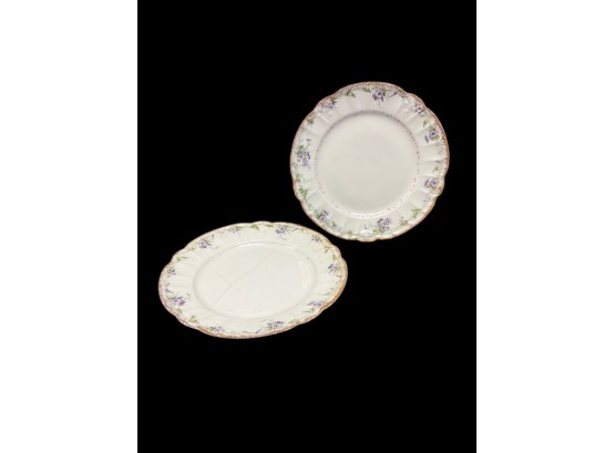 Pair Of Limoges Plates