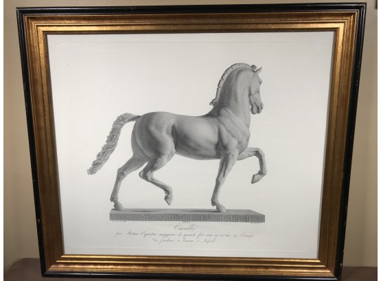 Fabulous Large Vintage Print Of Horse - Cavallo - Fantastic Decorator Print In Beautiful Black / Gilt Frame