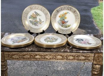 Gorgeous Set Of 12 LENOX - BOEHM Bird Cabinet Plates - ALL MINT CONDITION - 24k Gold Trim - Valued $95 Each
