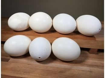 Lot Of Seven (7) Large Ostrich Eggs - Fantastic Decorative Pieces - (7) Seven Ostrich Eggs For One Bid !