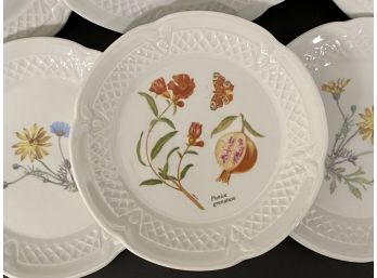 Another Fantastic Set Of French Porcelain Canape Plates, Wildflower Pattern