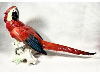 Large Karl ENS German Porcelain Parrot Figurine