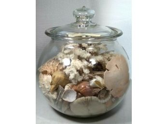 Antique Victorian Glass Apothecary Round Jar Filled W Coral Rare Shells Etc.