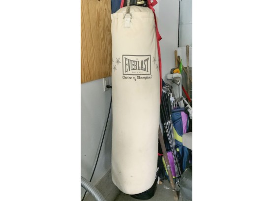 Everlast Punching Bag Wall Mount & Sparing Gloves