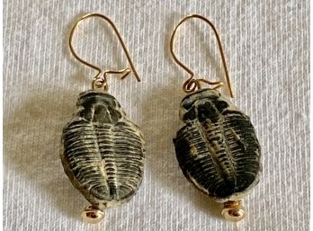 Fossilized Scarab Earrings