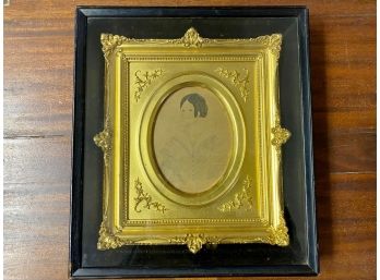 19th C. Pen & Ink On Paper, Gilt Framed In A Shadowbox
