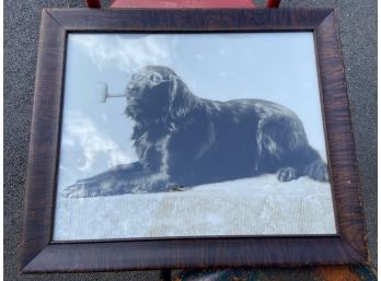 Pipe Smokin Dog Picture 23.5x19.5in Framed Glass