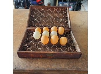 VERY RARE -- Antique Egg Carrying Box With Protective Metal Springs For Two Dozen Eggs -plus 10 Display Eggs
