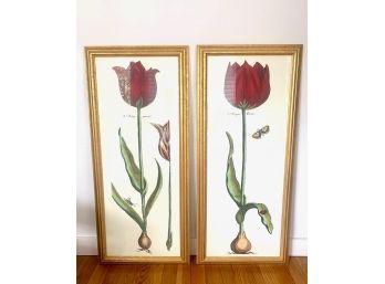 Pair 4 Tall Tulip Prints In Gilt Frames  (LOC: FFD 1)